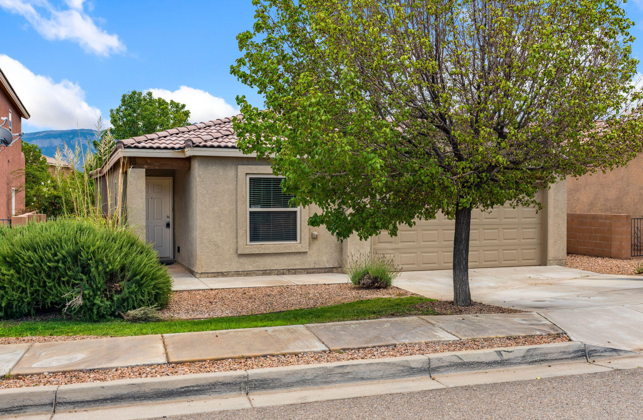 Front exterior of 806 Vargas Drive in Bernalillo, showing the stucco single-level home, tile roof, attached garage, mature tree, and xeriscaped front yard.
