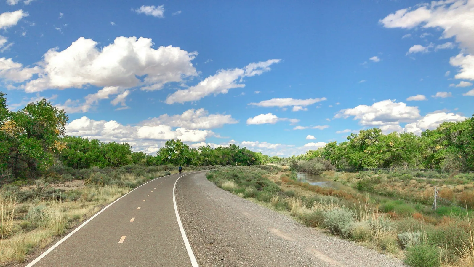 A paved trail curving through Albuquerque's cottonwood bosque under a blue sky.