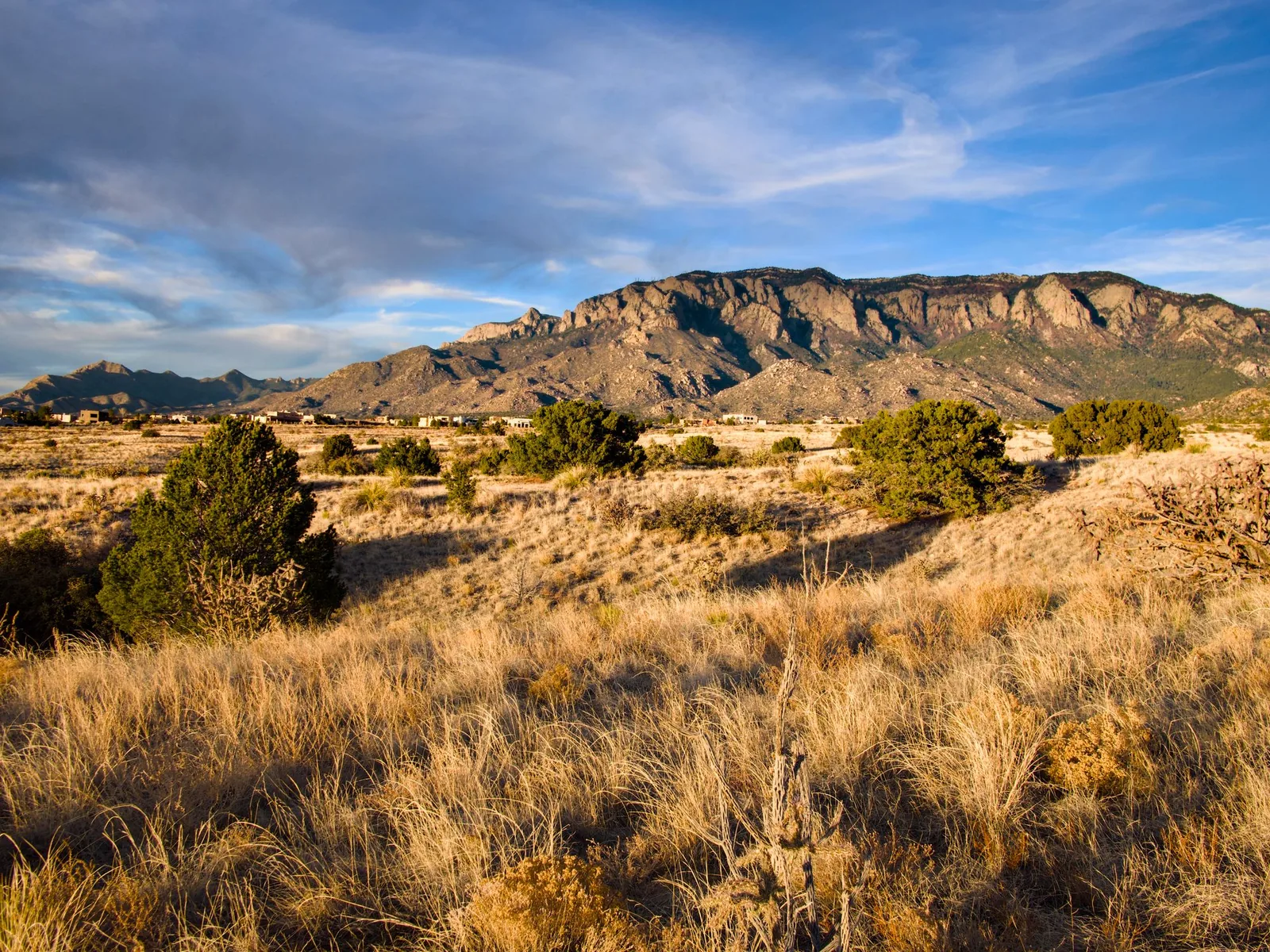 Sunset light on the Sandia Mountains above high-desert grassland in Albuquerque.