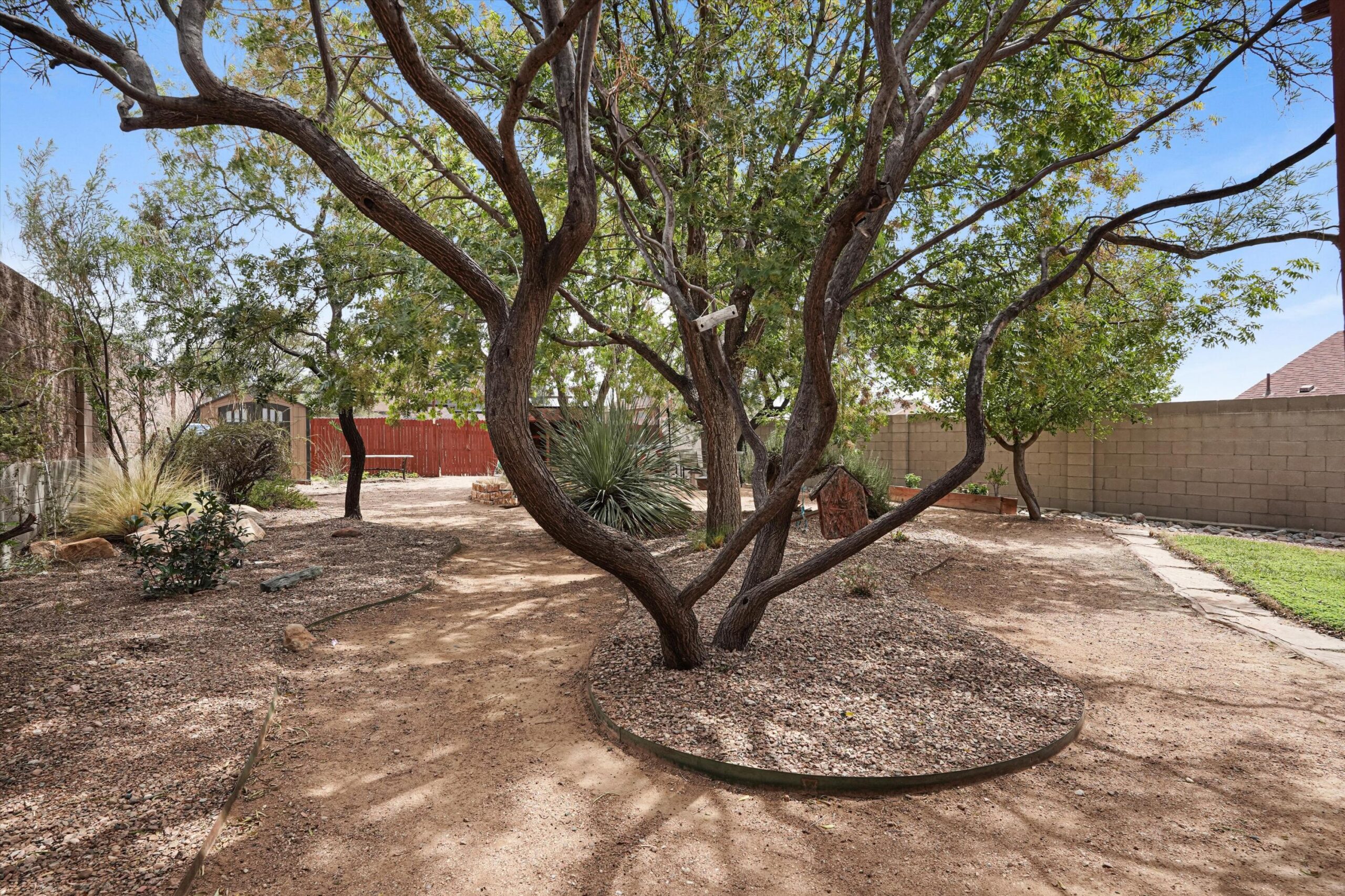 Mature tree and walking path in the fenced backyard