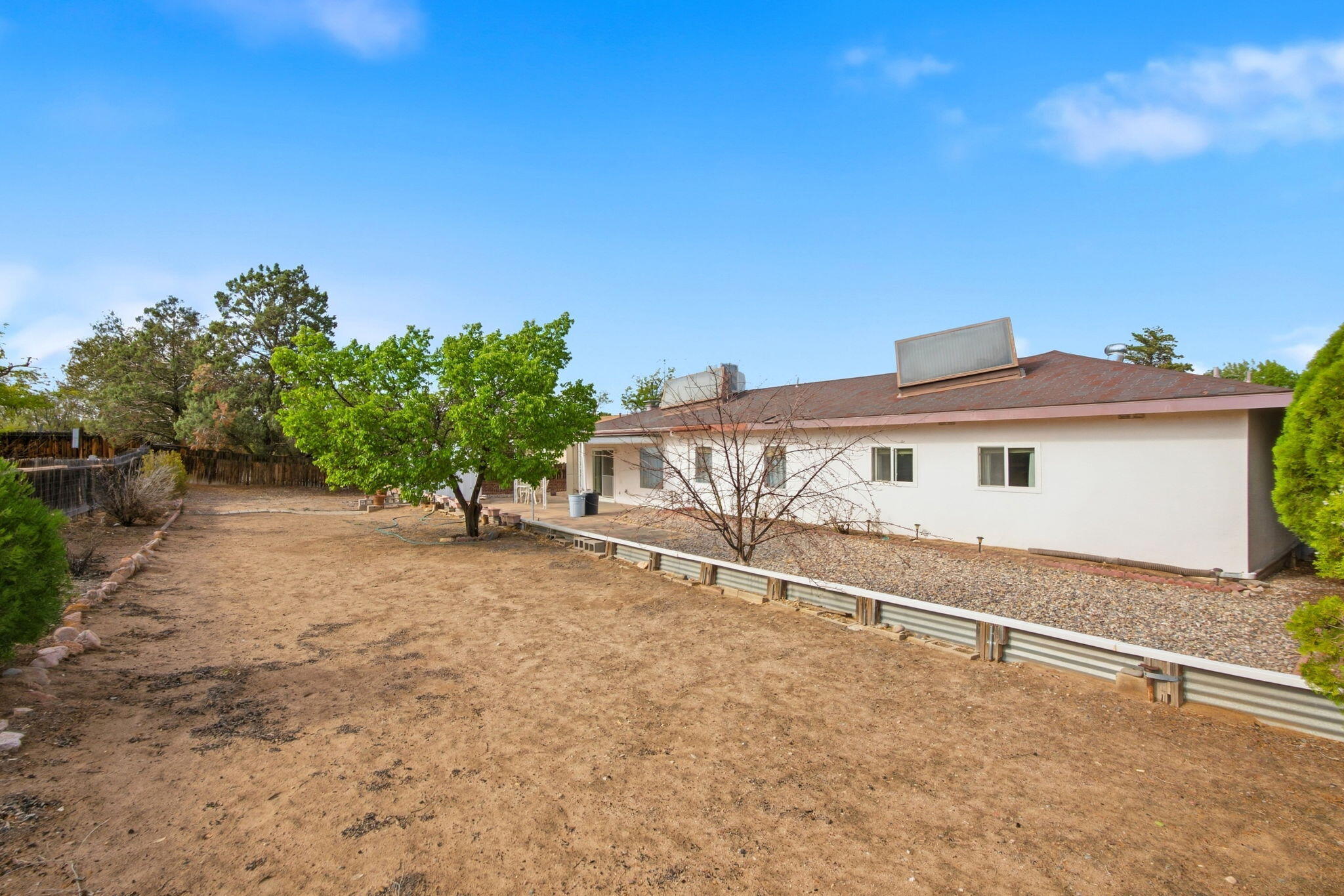 Spacious walled backyard with an apricot tree and storage shed at 4108 Leon Grande Avenue SE