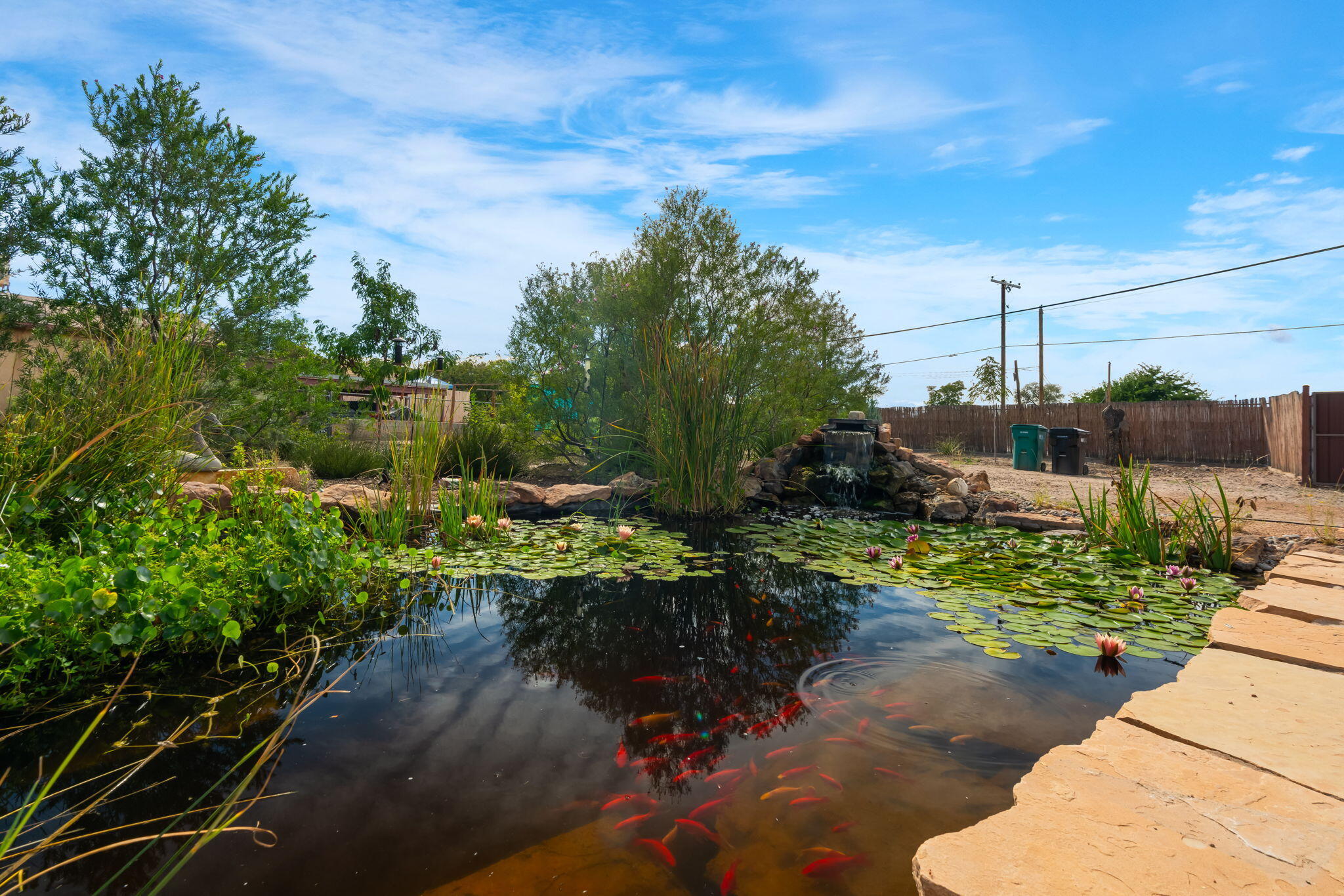 Wide view of the koi pond and landscaped garden at 406 Atrisco Drive SW