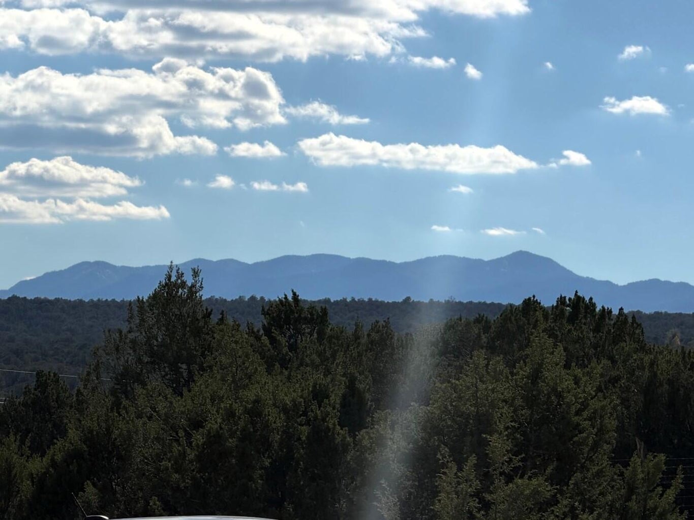 Manzano Mountain view beyond wooded terrain near the Bosque View parcel