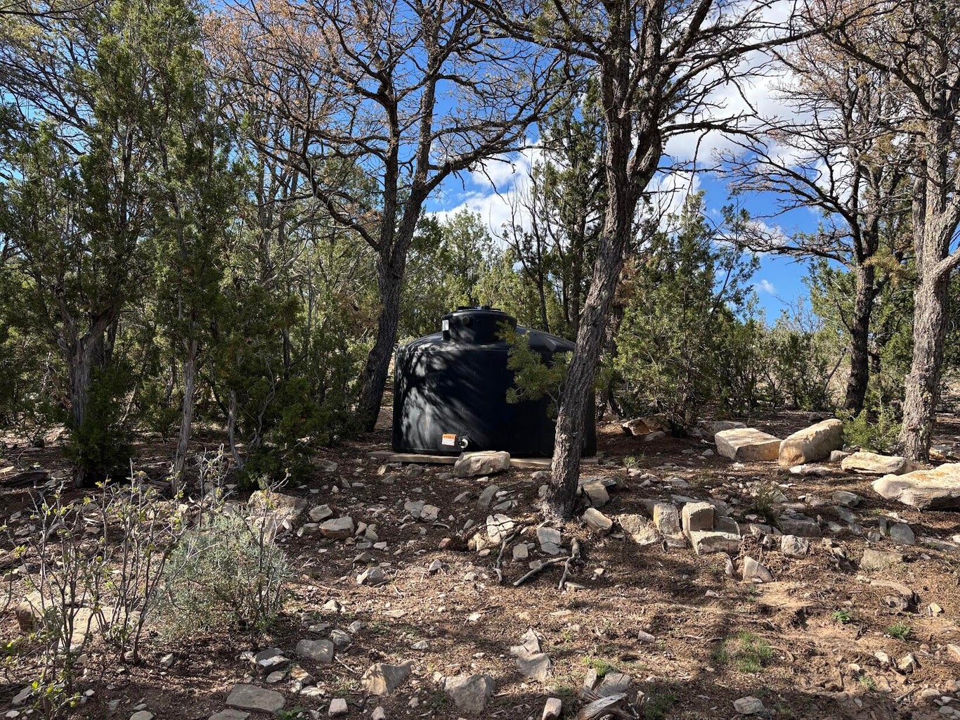 Water storage tank among trees on the Bosque View parcel