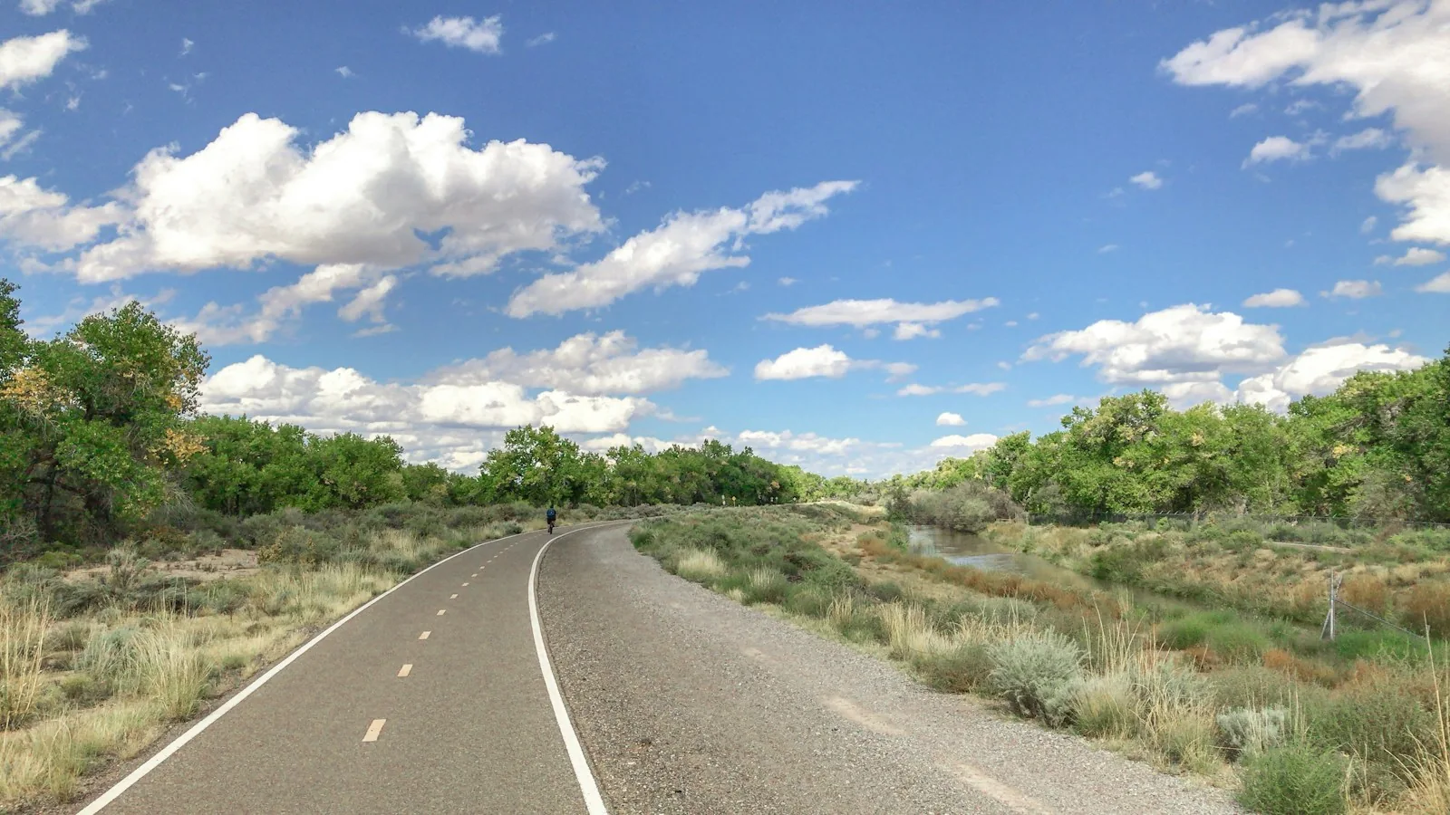 Paved Bosque Trail in Albuquerque, with riverside vegetation beneath a blue sky.